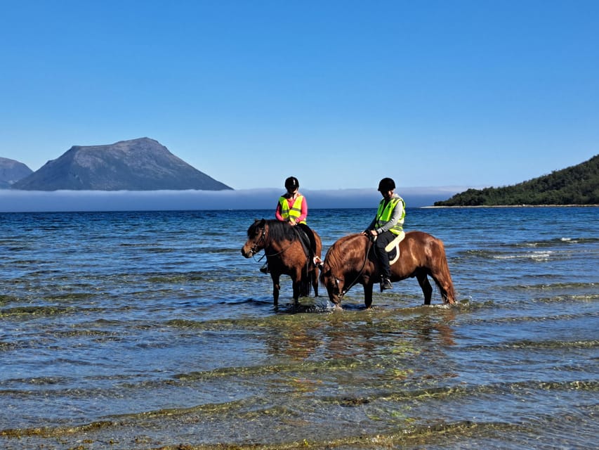 Tromsø: Lyngen Horse Summer Riding Experience - Stories of the area and the Second World War