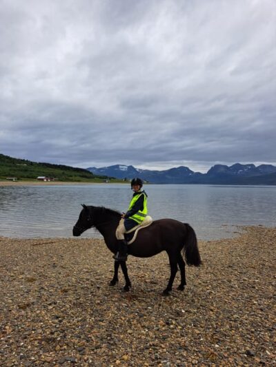 Lyngen Horse Summer Riding Experience