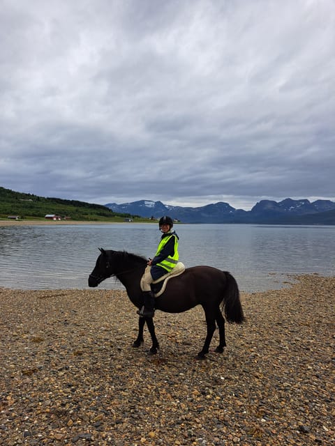 Tromsø: Lyngen Horse Summer Riding Experience - About one hour beside Grøtfjord and the Lyngen Alps