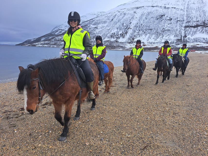 Tromsø: Lyngen Horse Winter Riding Experience - Stories of Grøtfjord and wartime Norway