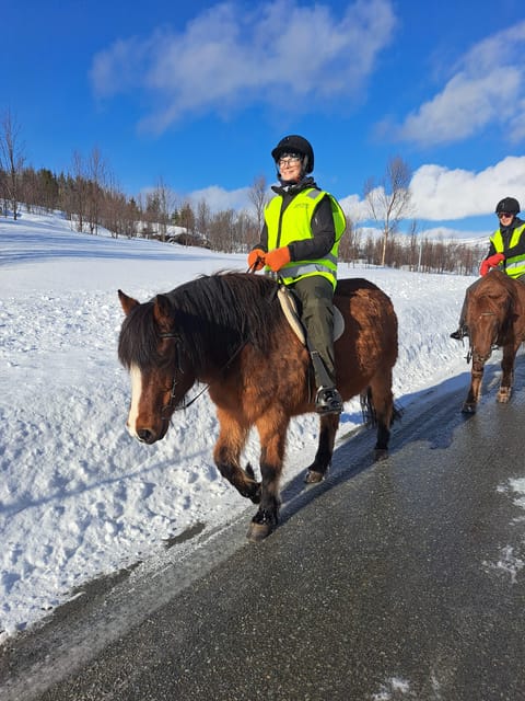 Tromsø: Lyngen Horse Winter Riding Experience - Winter clothing and practical comfort