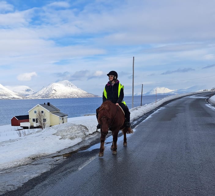 Tromsø: Lyngen Horse Winter Riding Experience - Grooming, saddling, and getting ready safely