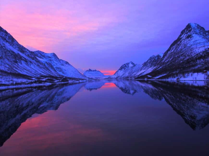 Tromsø: Midnight Sightseeing Cruise All-inclusive - Key points to know before you book
