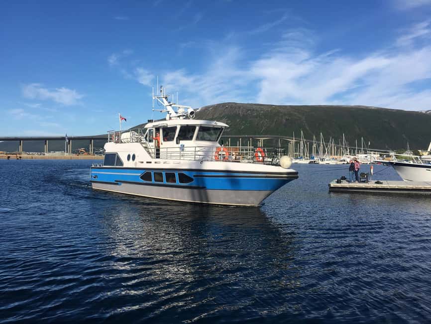 Tromsø: Midnight Sightseeing Cruise All-inclusive - Why sailing at midnight feels different in Tromsø