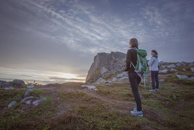 Tromsø: Midnight Sun Hike with Wandering Owl - What the $150.35 price gets you