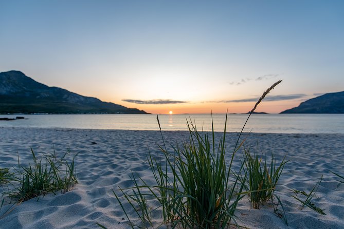 Tromsø: Midnight Sun with Campfire with Wandering Owl - Weather, Clothing, and Outdoor Comfort