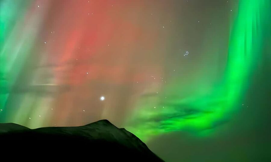 Tromsø: Northern Lights Adventure by Bus or Minibus - The guides make the difference