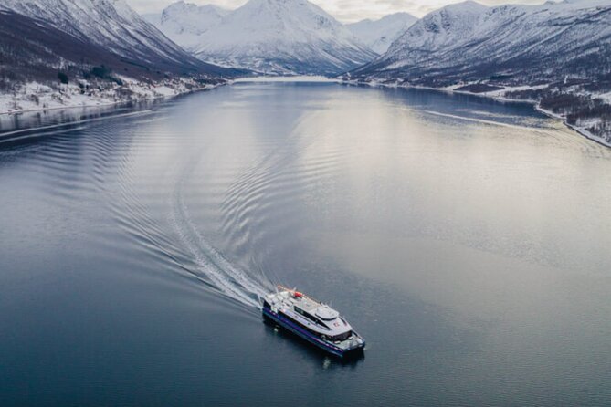 Tromsø, Northern Lights and Wilderness Evening Catamaran Cruise - How to prepare for the Arctic evening