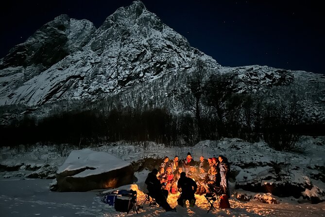 Tromsø: Northern Lights by Minibus - Free Photos and Warm Dinner - Aurora photography and the free portraits