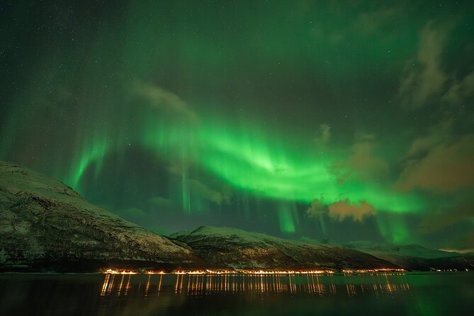 Tromsø: Northern Lights by Minibus - Free Photos and Warm Dinner - Who will enjoy this Tromsø night most