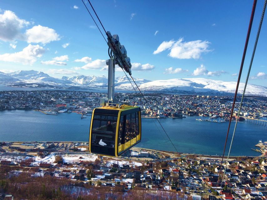 Tromso: Northern Lights Cable Car Excursion - Why this cable car setting works for Northern Lights watching