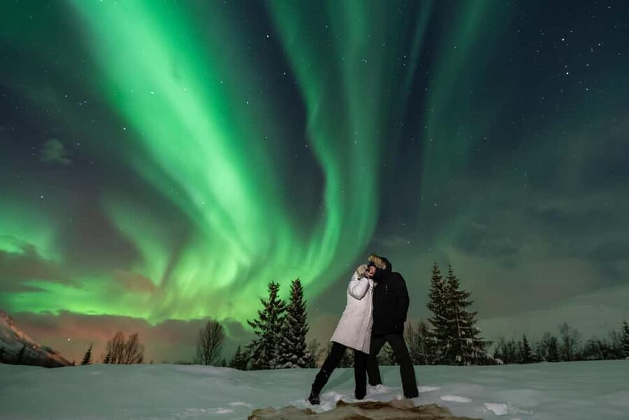 Tromsø: Northern Lights Chase by a comfortable bus - Two hours through the Arctic night