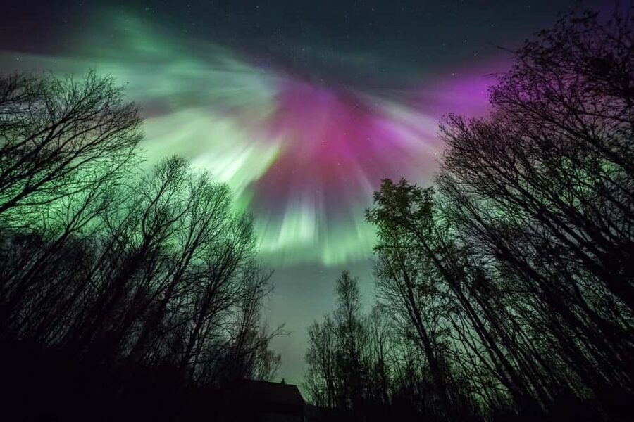 Tromsø: Northern Lights Chase + Free Professional Photos - Who will enjoy this tour most