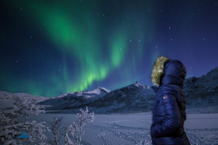 Tromso: Northern Lights Chase with Photo Package Included - The drawbacks you should accept