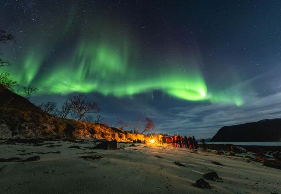 Tromsø: Northern Lights Focus Tour, German/English, minibus, meal - Why the local route matters