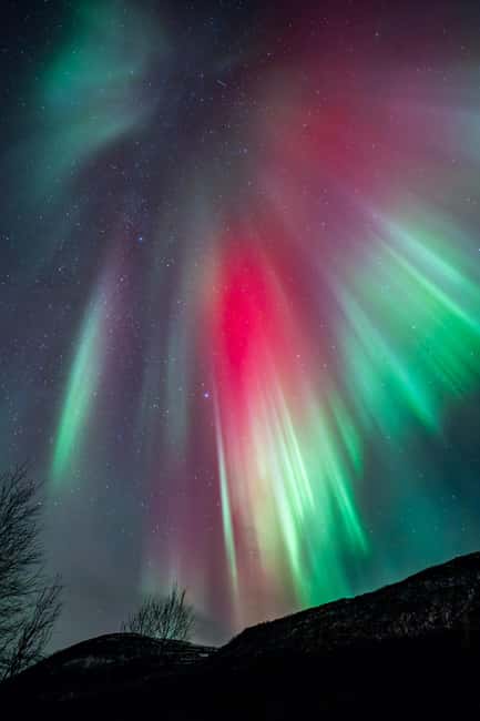 Tromsø: Northern Lights Focus Tour, German/English, minibus, meal - Thermal suits, tripods, and the cold-weather reality
