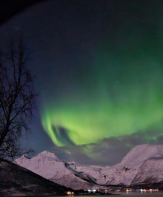 Tromsø: Northern Lights Hunt. Local Guide and Basecamp. - Key points at a glance