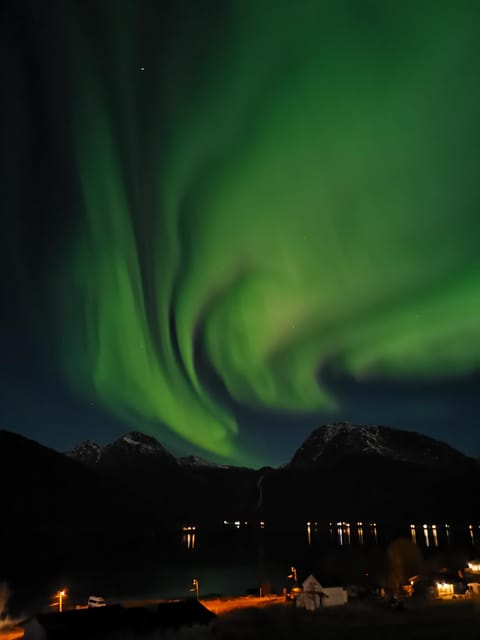 Tromsø: Northern Lights Hunt. Local Guide and Basecamp. - What four hours outside really feels like