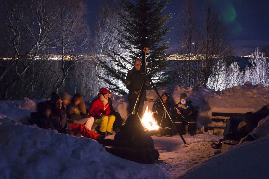 Tromsø: Northern Lights Husky Visit with Traditional Dinner - Key points at a glance