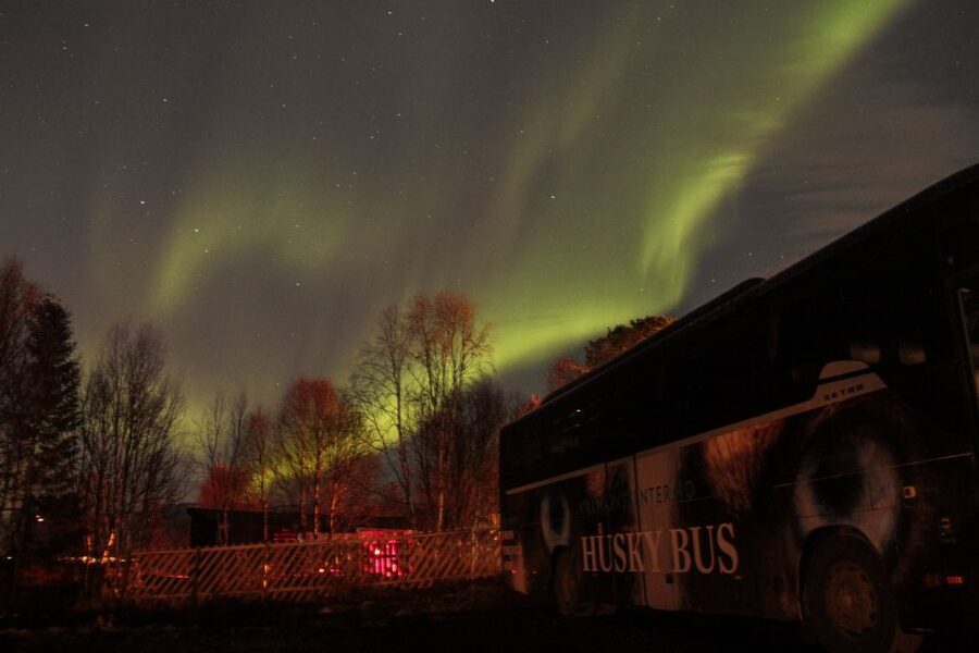 Tromsø: Northern Lights Husky Visit with Traditional Dinner - The honest limitations