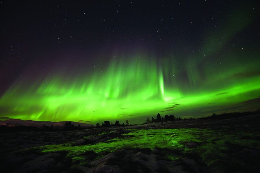 Tromsø: Northern Lights Husky Visit with Traditional Dinner - Should you book it?