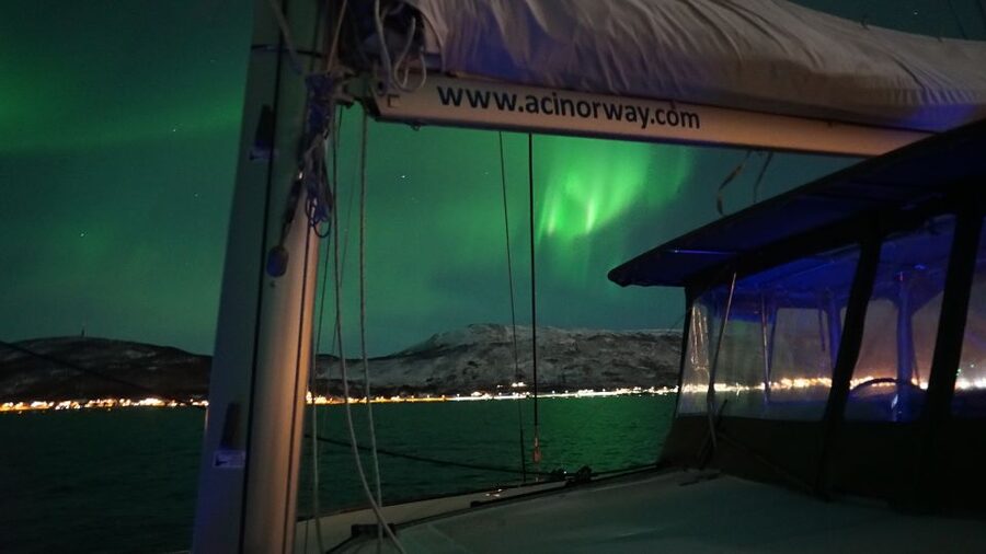 Tromsø: Northern Lights Luxury Catamaran Cruise - What the Three-Hour Route Actually Feels Like