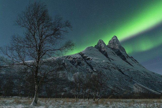 Tromso Northern Lights Minibus Chase Small Group Tour with Photos - Is $210.53 a fair price?