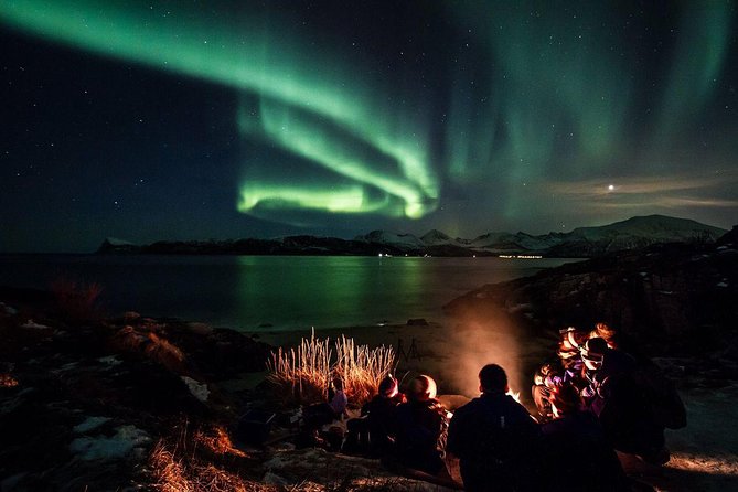 Tromso Northern Lights Minibus Chase Small Group Tour with Photos - Meeting at Scandic Ishavshotel and getting dressed for the Arctic