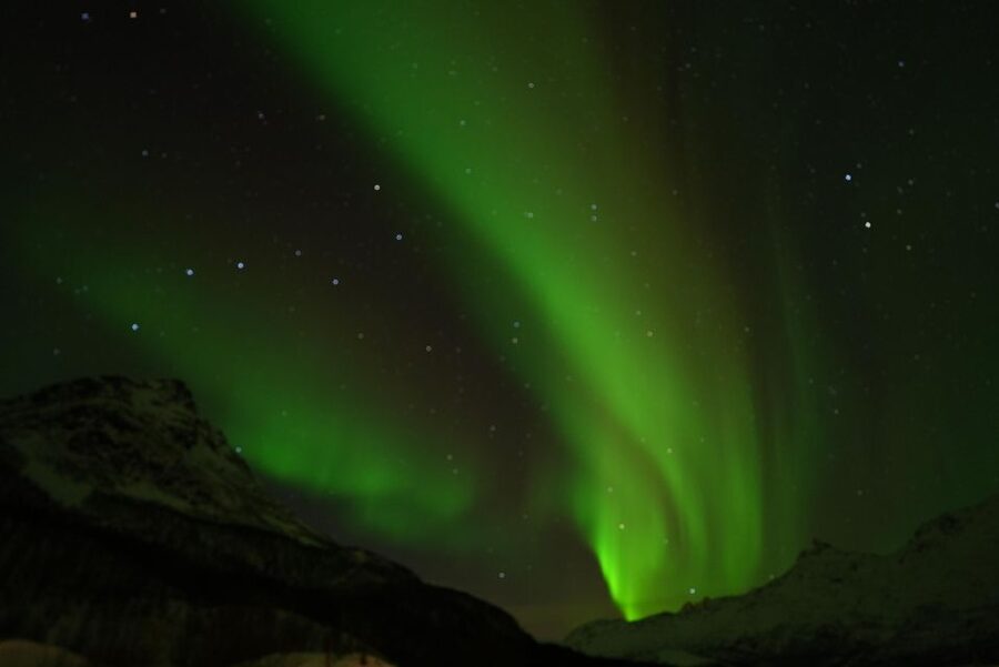 Tromsø: Northern Lights Minibus Small Private Tour Group - Is $157 a good value?