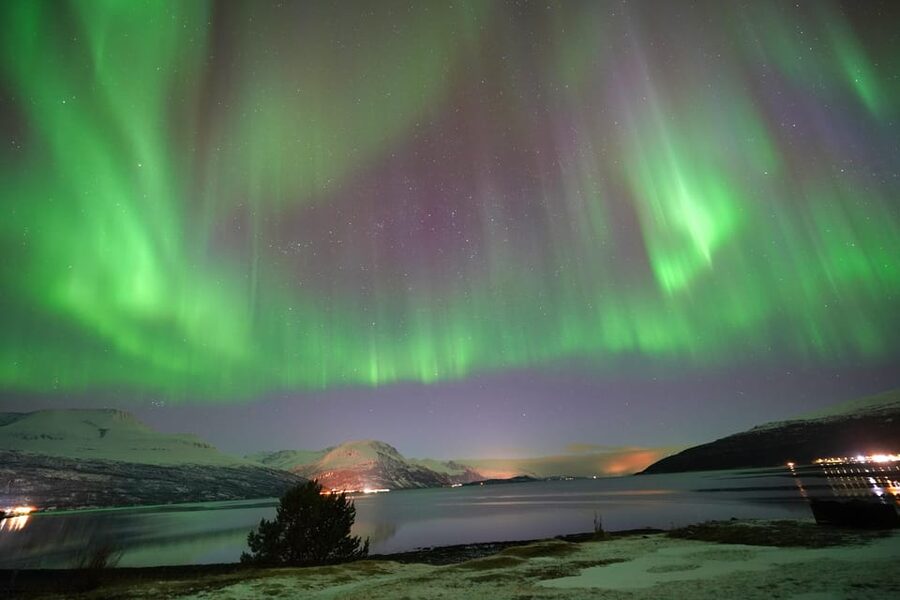 Tromso: Northern Lights Minibus Tour with Campfire - Chasing clear skies from Tromsø