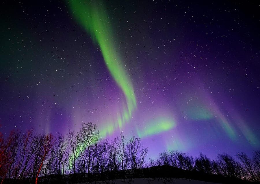 Tromso: Northern Lights Minibus Tour with Campfire - What happens at an aurora stop