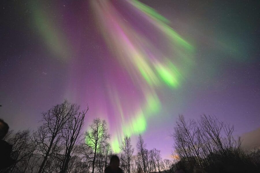 Tromso: Northern Lights Minibus Tour with Campfire - The minibus ride and changing route
