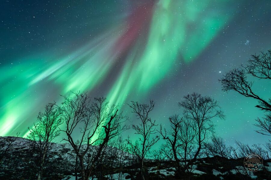 Tromsø: Northern Lights Photography Small-Group Tour - Key points at a glance
