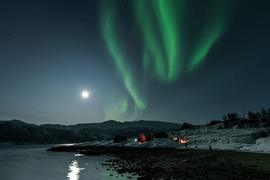 Tromsø: Northern Lights Photography Small-Group Tour - Who should book this night out?