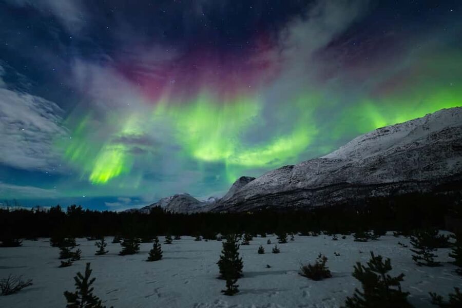 Tromsø: Northern Lights Photography Tour - Who will get the most from this tour