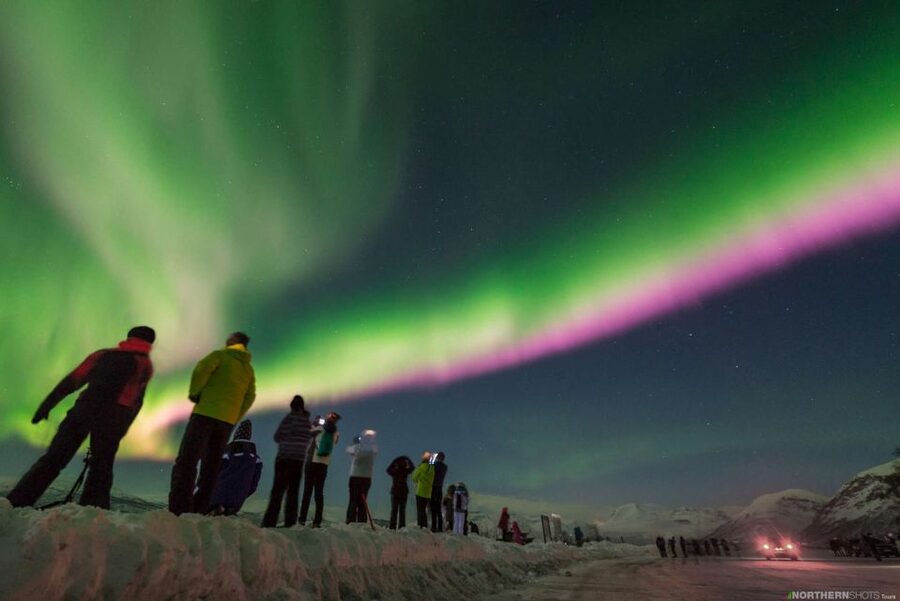Tromso: Northern Lights Photography Tour by Bus (or miniBus) - Key points to know before you book