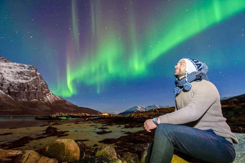 Tromsø: Northern Lights Safari - Key points to know before booking