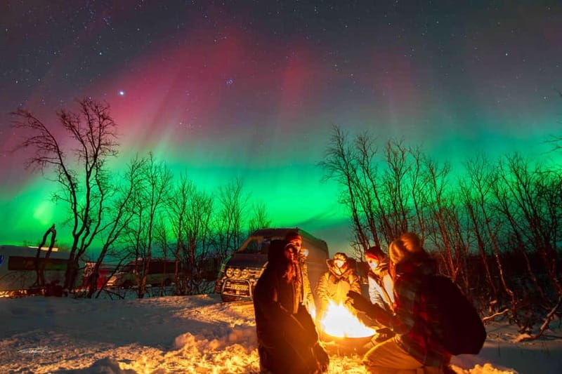 Tromsø: Northern Lights Safari - The guides make or break a weather-dependent night