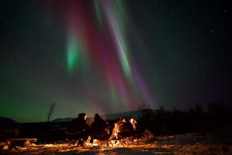 Tromsø: Northern Lights Tour - Key points at a glance