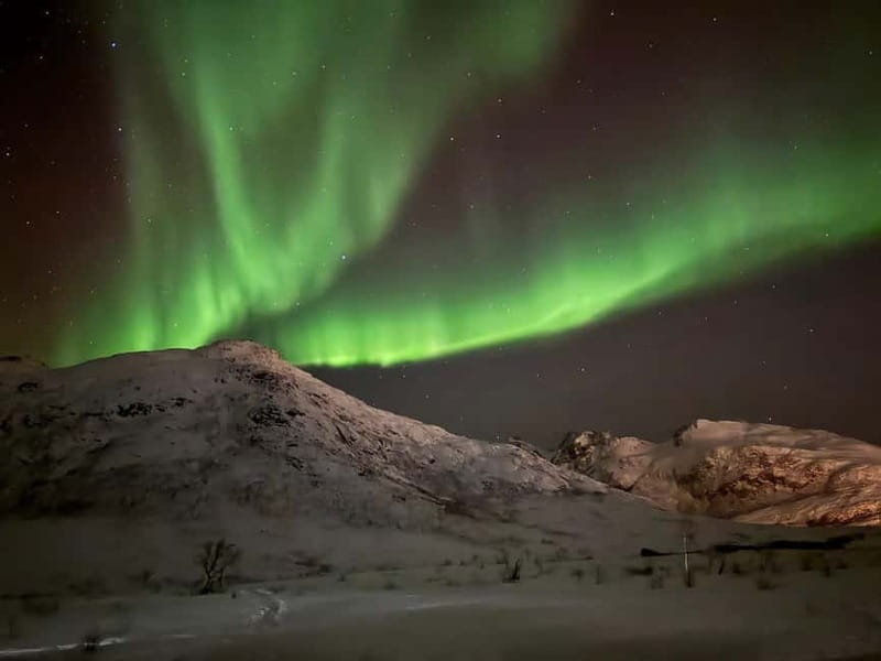 Tromsø: Northern Lights Tour - Is $206 a fair price?