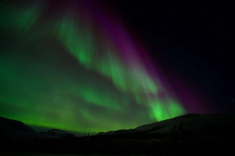 Tromsø: Northern Lights Tour - Should you book it?