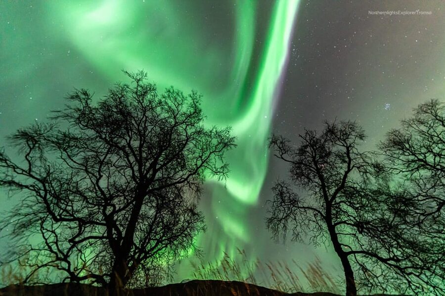 Tromsø: Northern Lights Tour w/Photo, Suits and Local Guide - Is $188 a fair price?