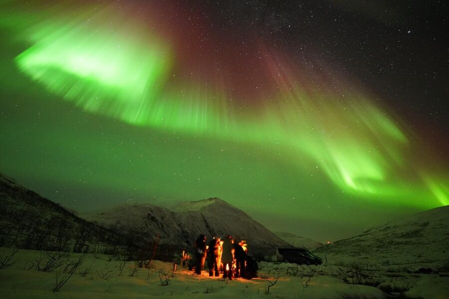 Tromsø: Northern Lights Tour with Free Professional Portrait - Waiting under the Arctic sky