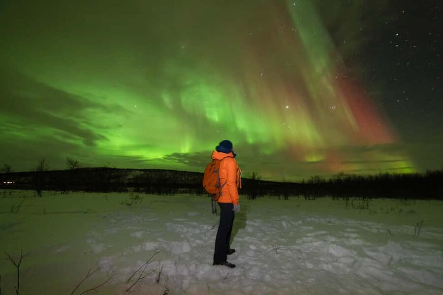 Tromsø: Northern Lights tour with local experts - The minibus ride and group size