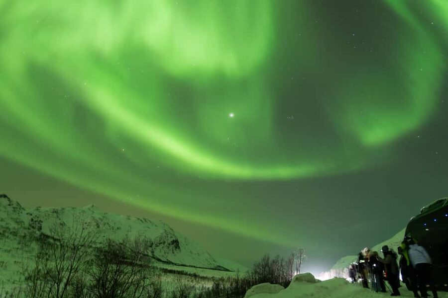 Tromsø: Northern Lights tour with local experts - Watching the sky with local guides