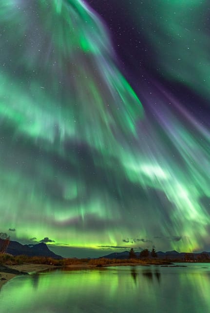 Tromsø: Northern Lights Tour with Local Guide and Photos - Inside the Mercedes Sprinter minibus