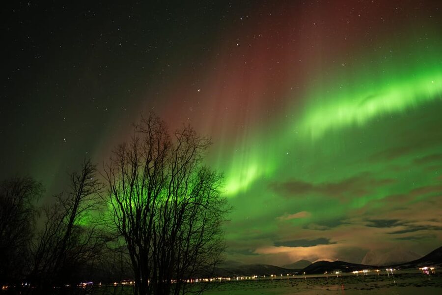 Tromsø: Northern Lights Tour with Local Guide and Photos - The Arctic route and its possible stops