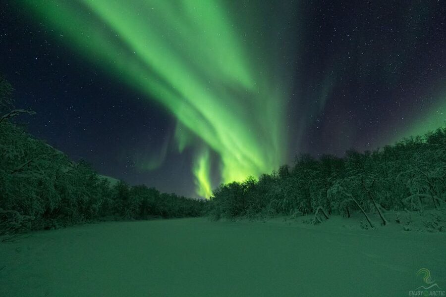 Tromsø: Northern Lights Trip with Campfire and Snacks - Camera help that turns a green blur into a keepsake