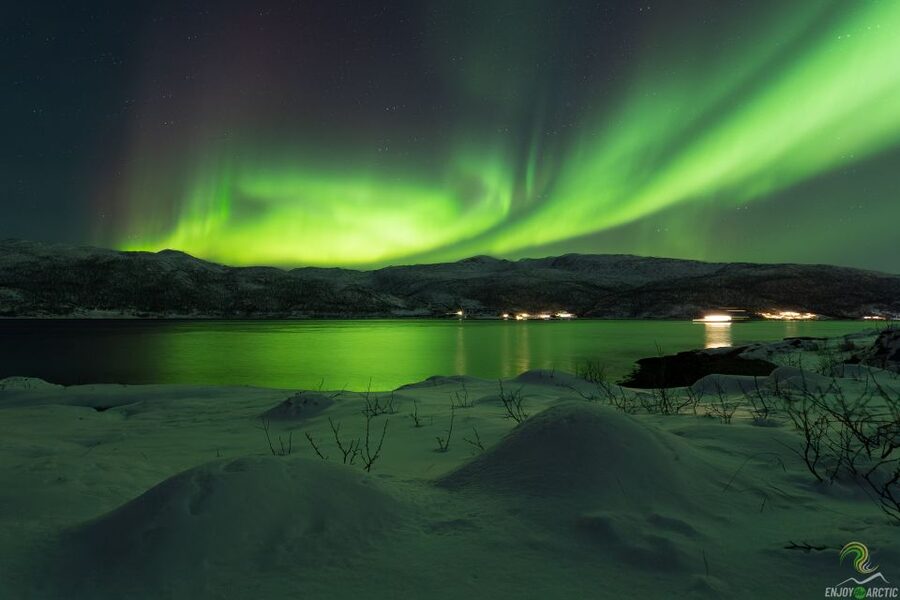 Tromsø: Northern Lights Trip with Campfire and Snacks - What happens when the lights are weak or absent