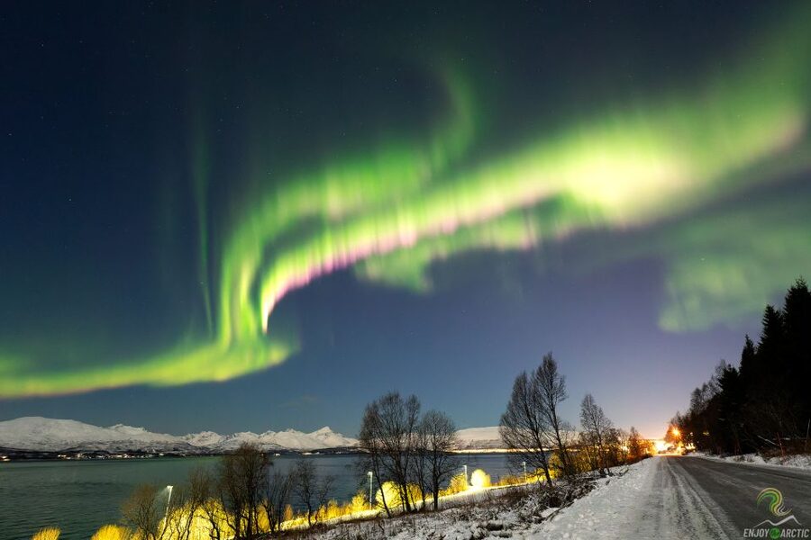 Tromsø: Northern Lights Trip with Campfire and Snacks - Practical planning for a better night